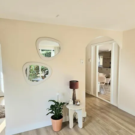 With Private Sauna On The Veluwe With Cold Water Tub Bath Apartment Putten